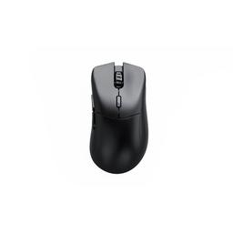 Glorious Model D 2 PRO Wireless/Wired Optical Mouse