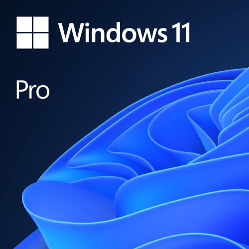 Microsoft Windows 11 Pro OEM - DVD 64-bit