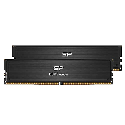 Silicon Power SP032GBLVU560FD2AD 32 GB (2 x 16 GB) DDR5-5600 CL46 Memory