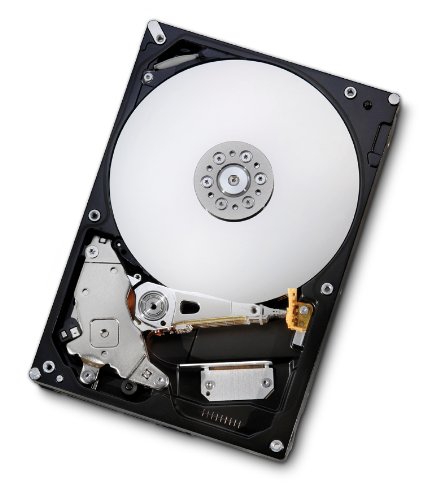 Hitachi Deskstar 1 TB 3.5" 7200 RPM Internal Hard Drive