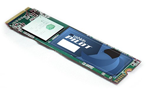 Mushkin PILOT 1 TB M.2-2280 PCIe 3.0 X4 NVME Solid State Drive