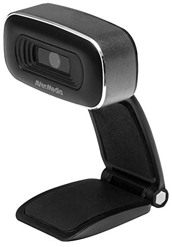 Avermedia HD Webcam 310 Webcam