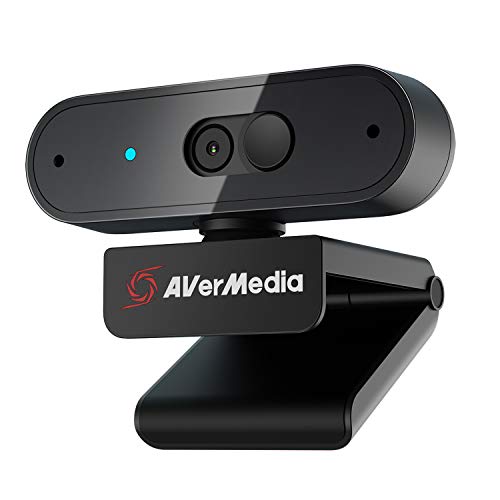 Avermedia PW310P Webcam